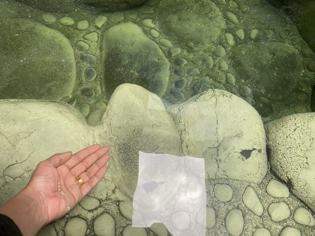 旅籠なごみ