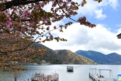 奥日光では５月より山桜が開花いたしました。